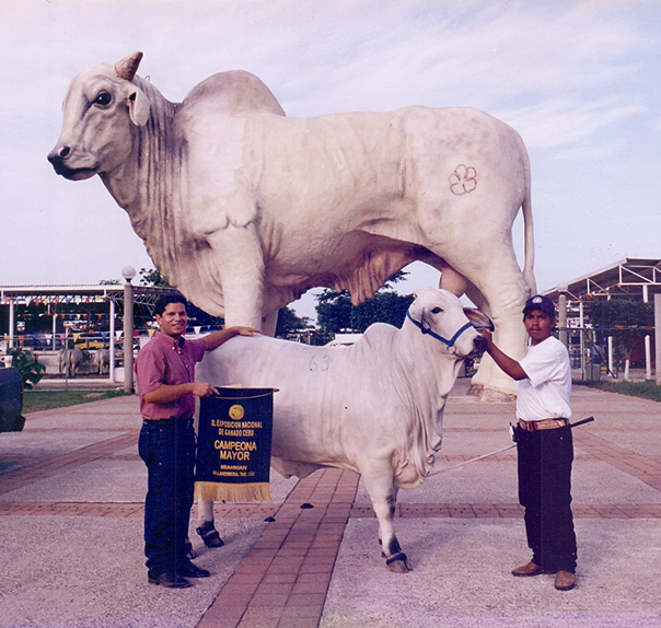 2004 – PRemios ganaderos
