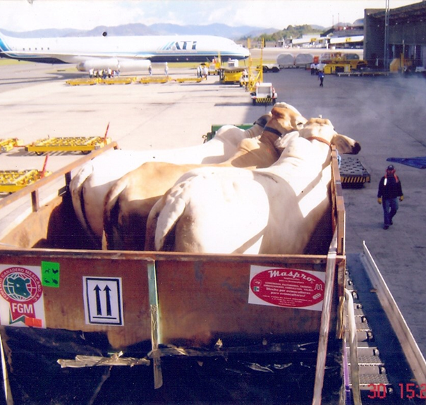 2010 – Embarque colombia